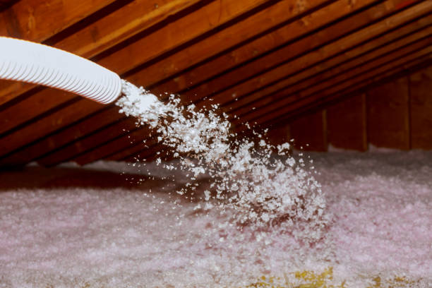Best Fiberglass Insulation  in Abram, TX