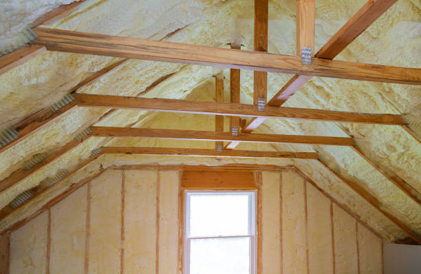 Best Insulation Removal  in Abram, TX