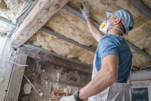 Best Insulation Contractors for Homes  in Abram, TX