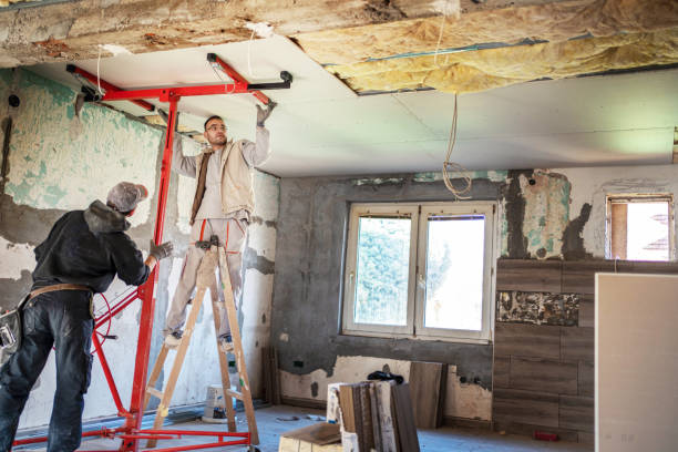 Best Wall Insulation Contractor  in Abram, TX