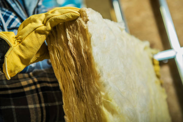 Best Cellulose Insulation  in Abram, TX