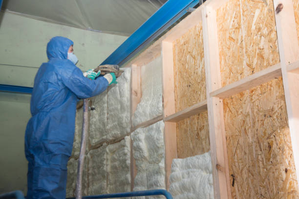 Best Affordable Insulation Services  in Abram, TX