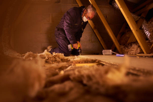 Best Attic Insulation Installation  in Abram, TX